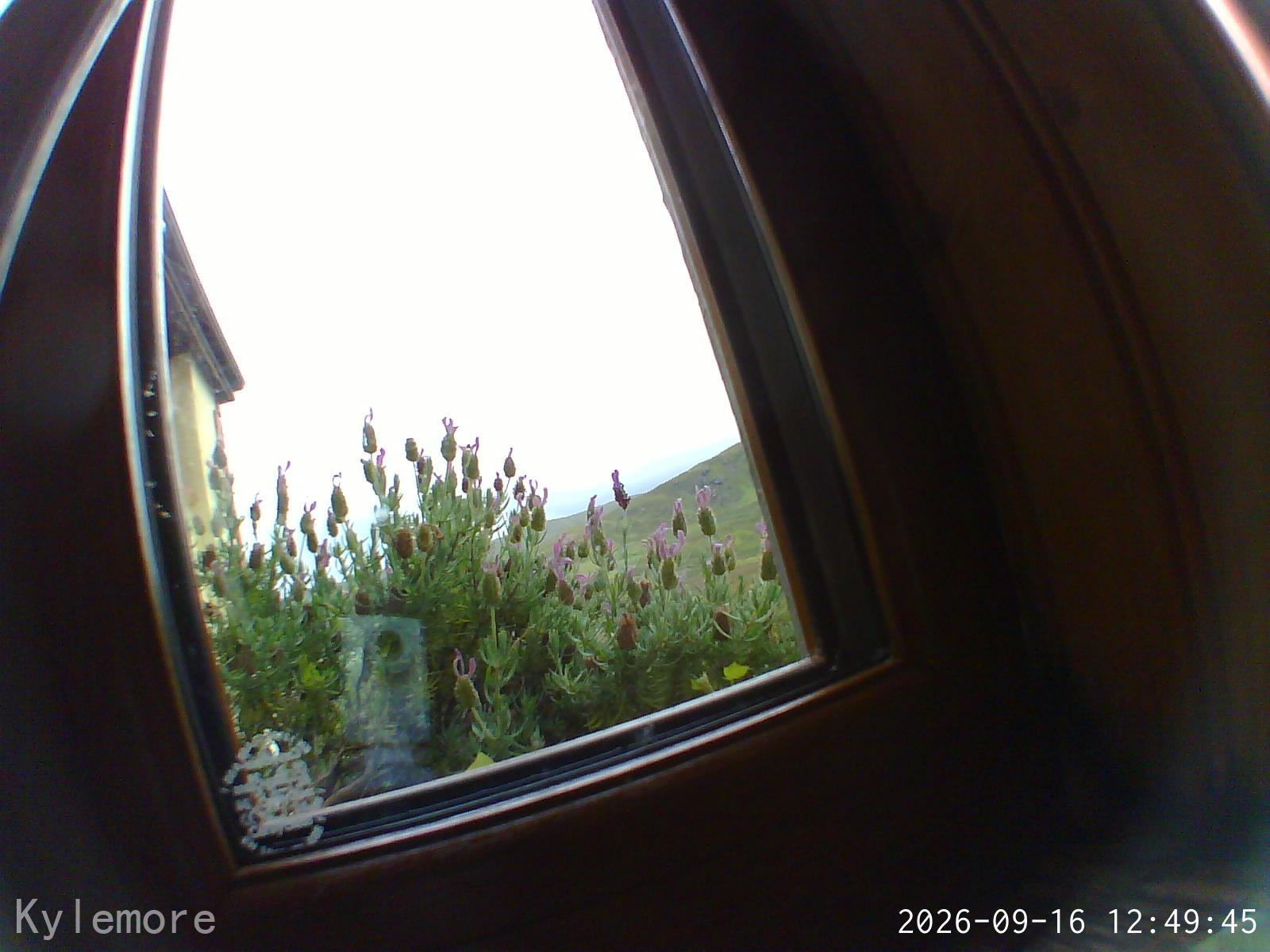 HP10 Camera Image